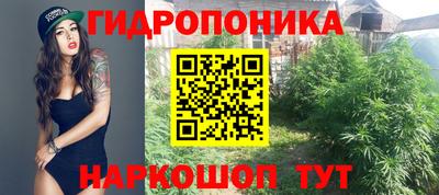 гидра Донецк