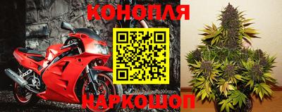 гидра Донецк
