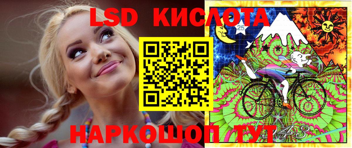 Губкин  Марки N-bome 1,8мг  Марки N-bome 1,8мг  Вход с VPN 