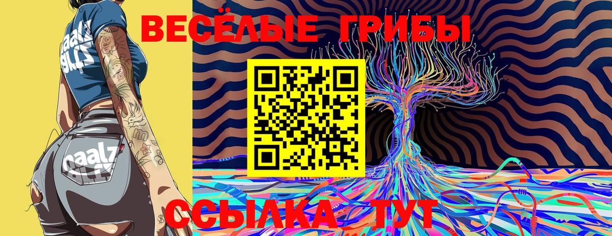 Псилоцибиновые грибы ЛСД  как найти   Губкин  Вход с VPN 